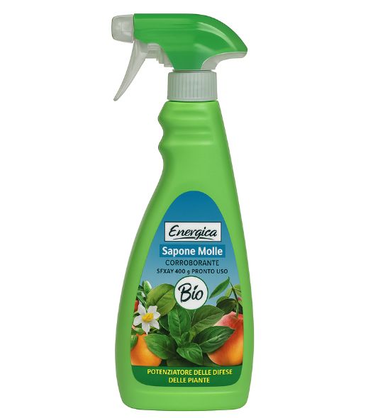 Sapone molle spray corroborante pronto all'uso 500 ml Energica