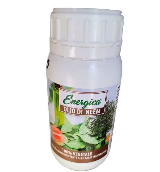 Olio di neem nel barattolo da 200 ml in vendita sul sito www.pierucciagricoltura.it