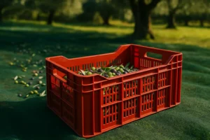 Cassette per olive impilabile di colore rosso