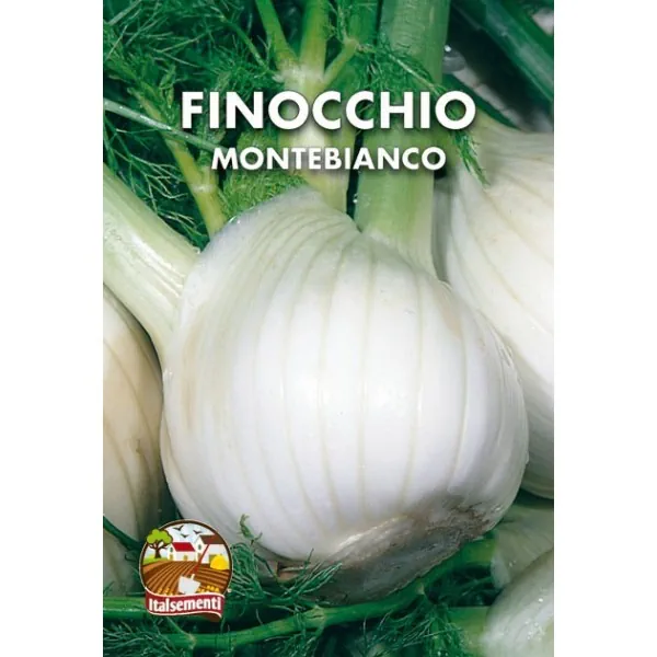 Semi di Finocchio Montebianco