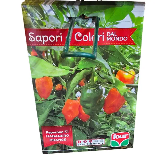 Busta semi Peperone F1 Habanero Orange Four