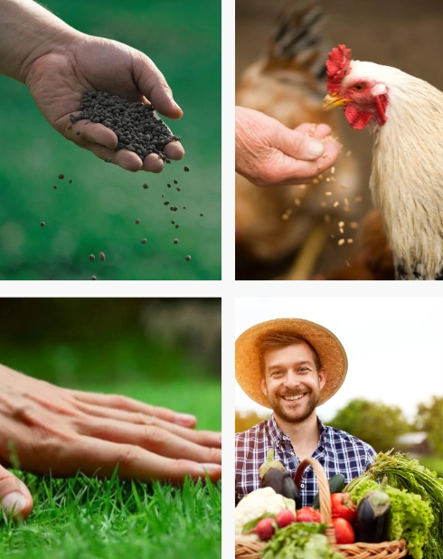 Banner sito www.pierucciagricoltura.it