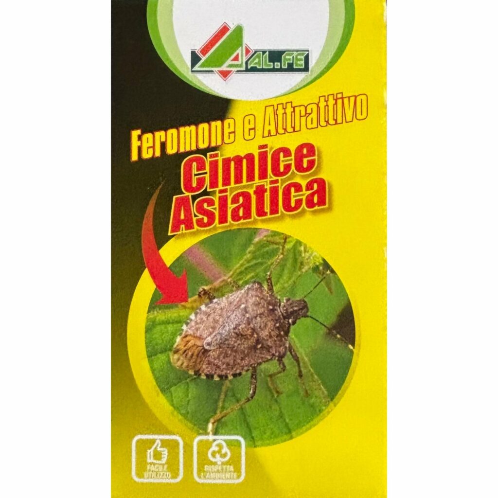 alfe-attrattivo e feromoni trappola cimice asiatica