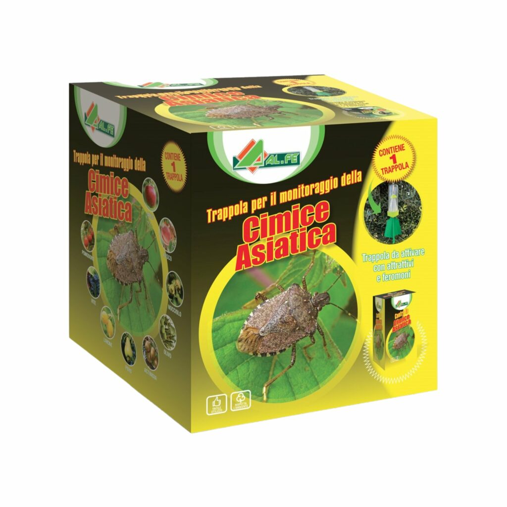 alfe-trappola cimice asiatica